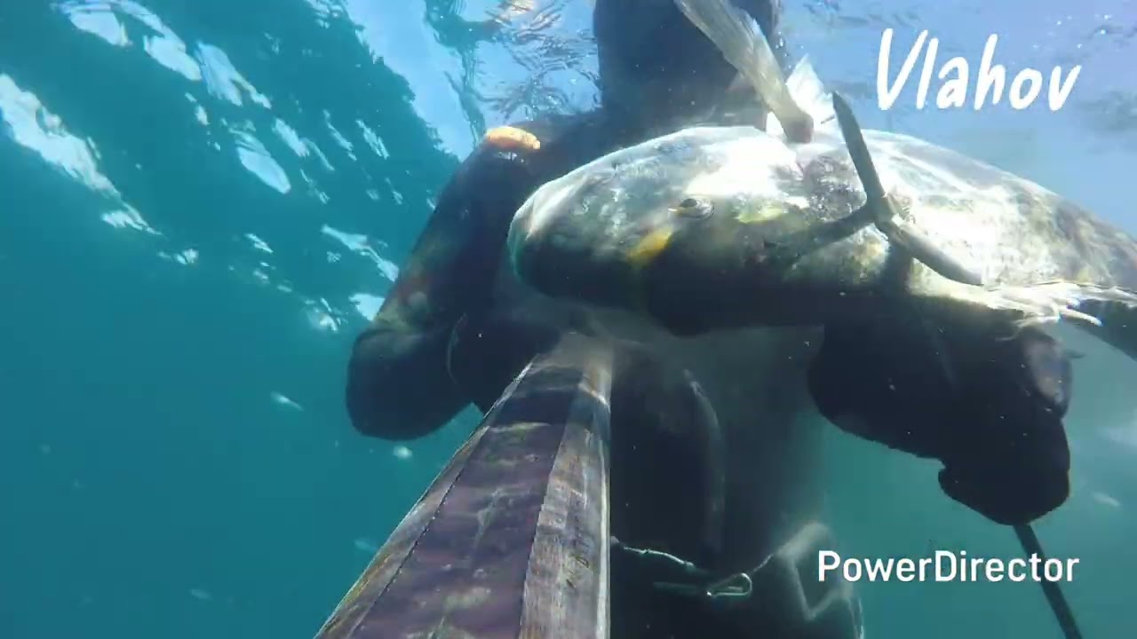 Spearfishing Croatia, Podlanica 3/2025