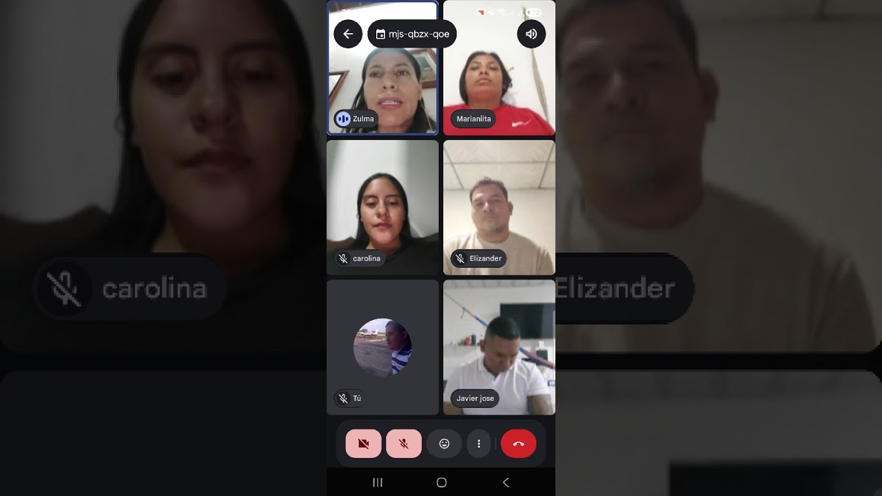 TEORIAS DEL DESARROLLO HUMANO