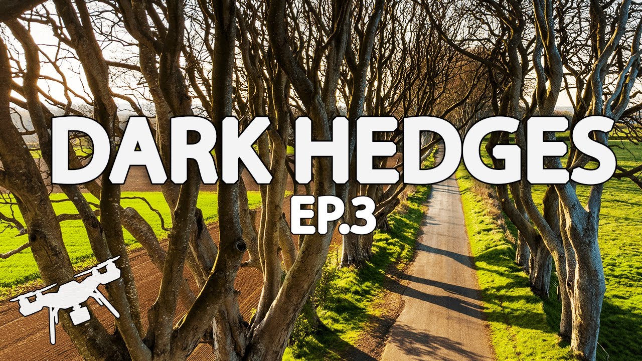 The Dark Hedges - AERIAL SHORTS | Ep. 3