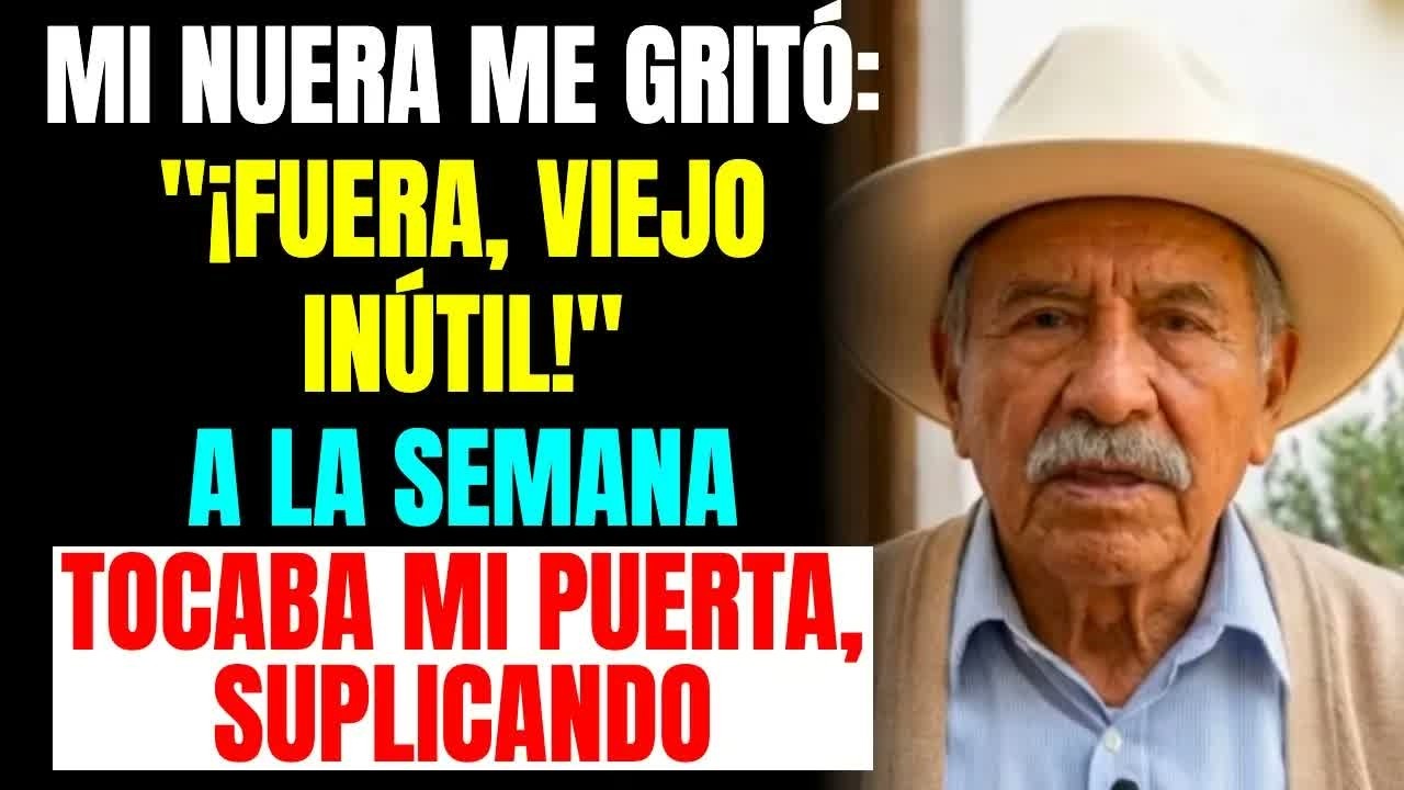Mi NUERA me gritó： ＂¡Fuera, viejo inútil!＂... a la semana tocaba mi PUERTA, SUPLICANDO