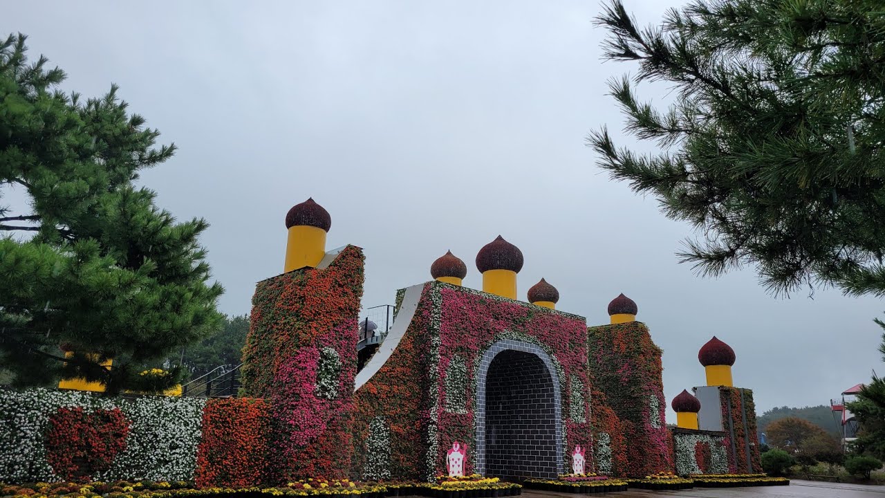 코레일관광개발/(팔도장터.숲여행)충남태안  남부편 2022 태안 가을꽃 박람회 안면도 자연휴양림 안면암 /김영희명강사와 함께하는 기차여행(김영희TV 제64회)