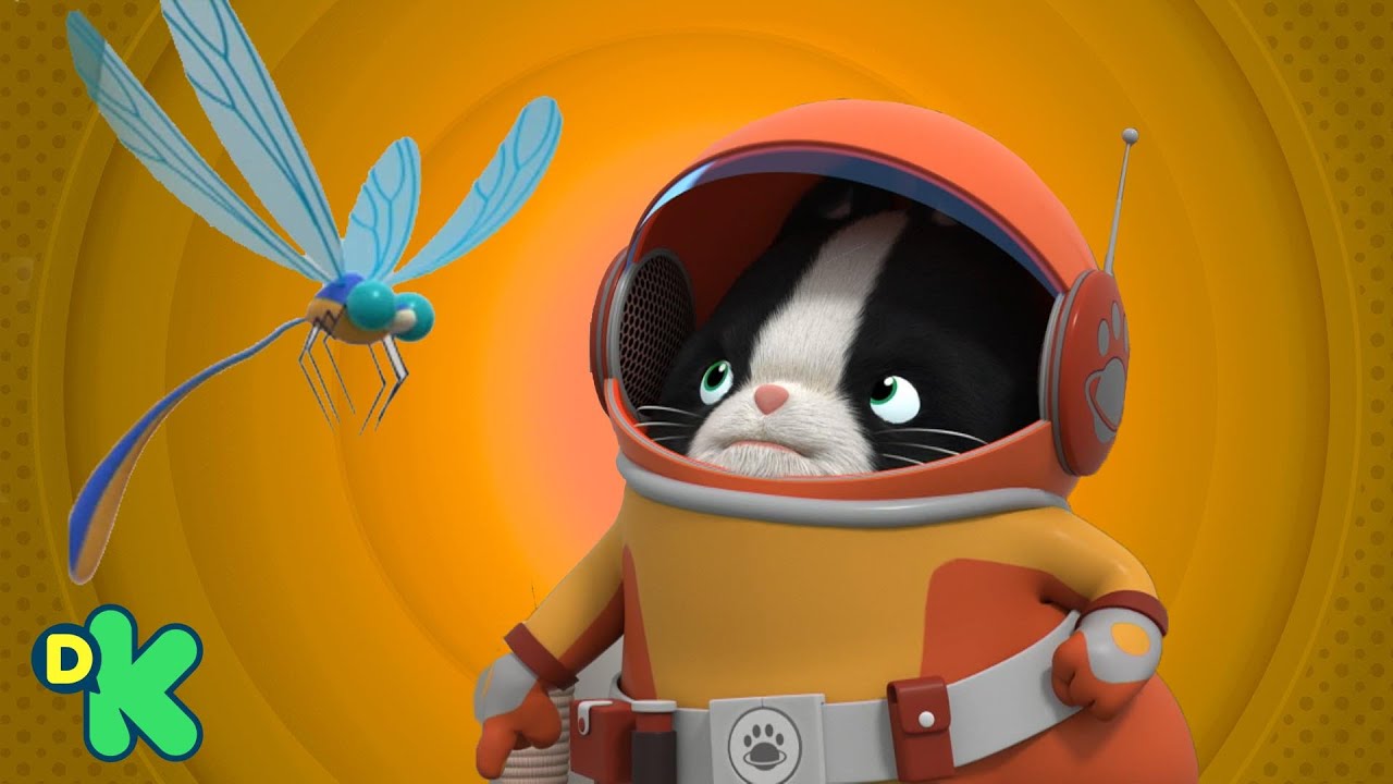 Misión libélula libre | Agente Binky al Rescate | Discovery Kids