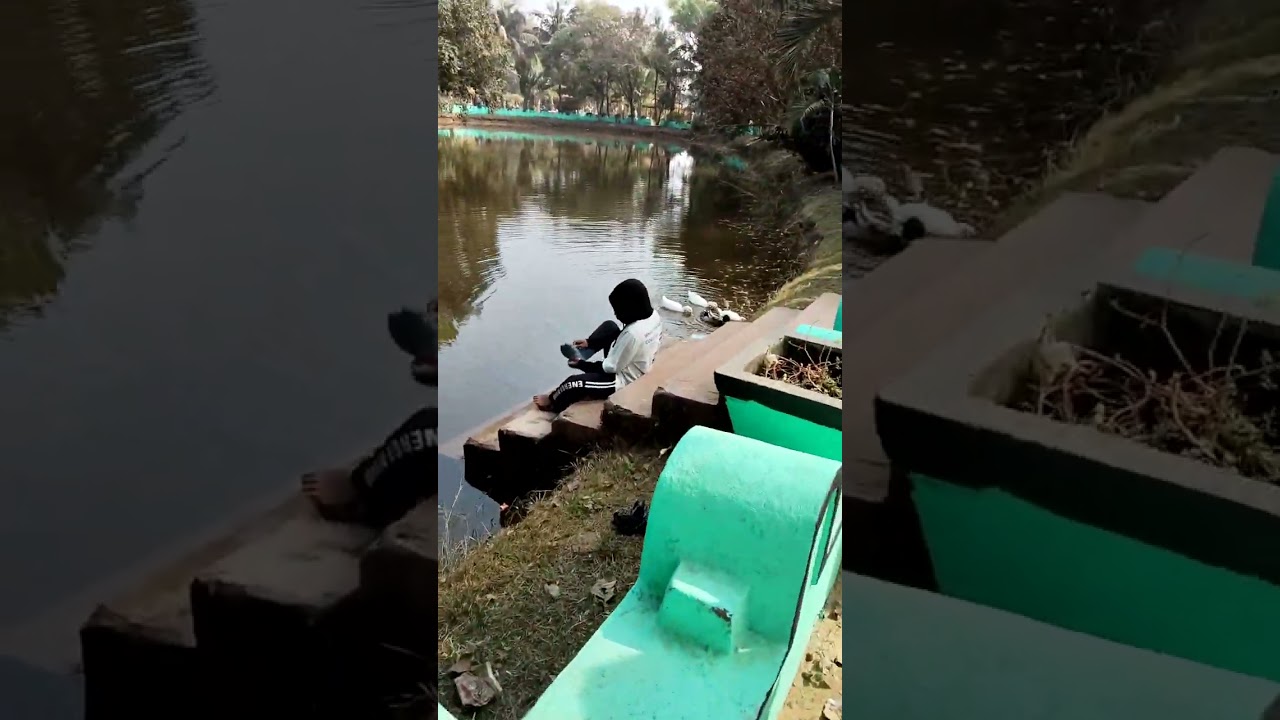 ঢেঁকি ##
