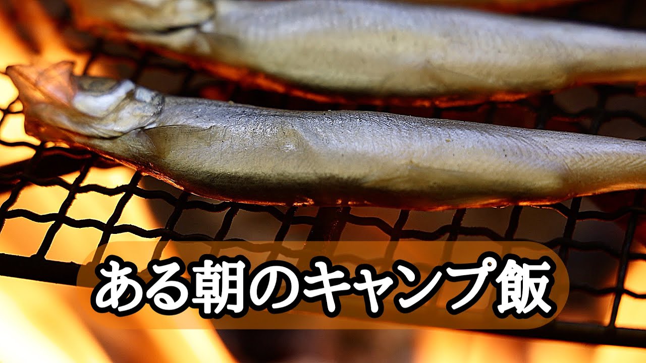 ある朝のキャンプ飯③ししゃもと大根と油揚げのみそ汁