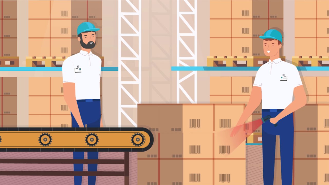 Expak Logistics: Offering customized supply chain solutions