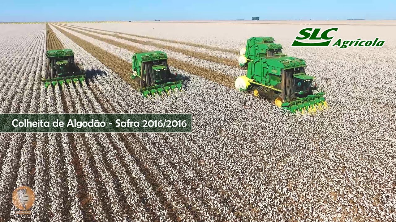SLC AGRÍCOLA   FAZENDA PLANALTO   COLHEITA DE ALGODÃO FullHD