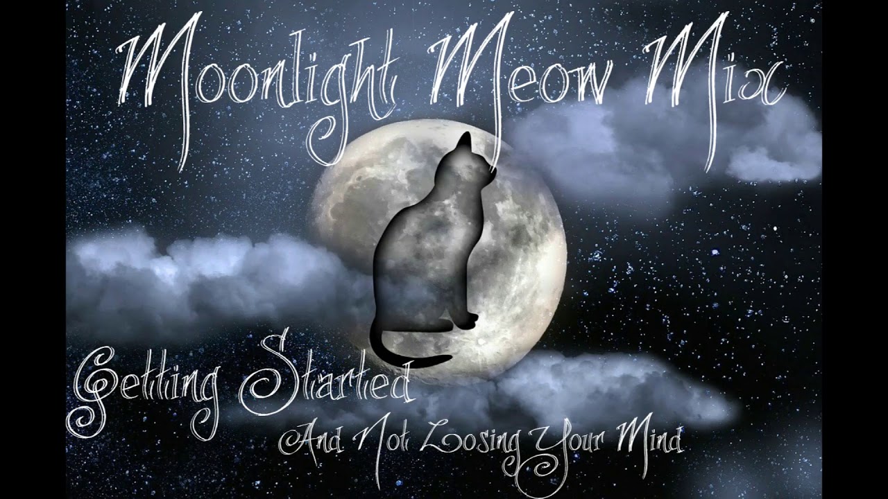 Moonlight Meow Mix ~Getting Started and Not Losing Your Mind~