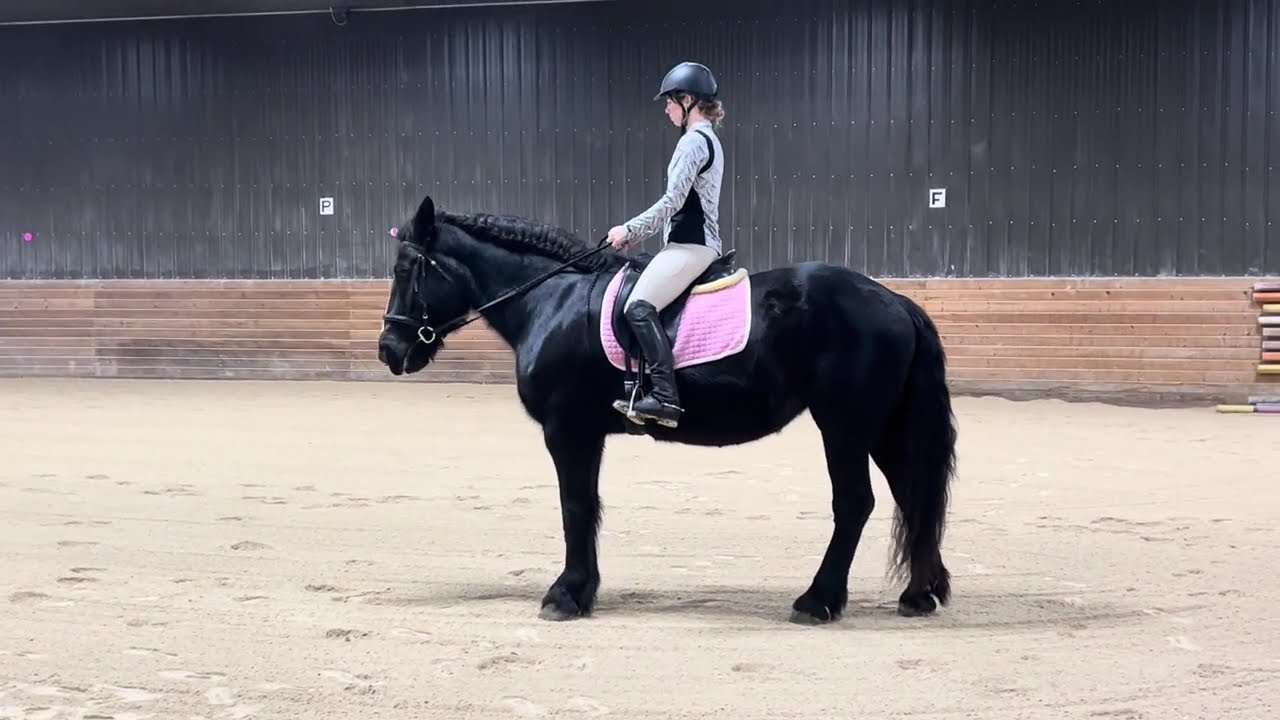 Emma Willems Riding Video