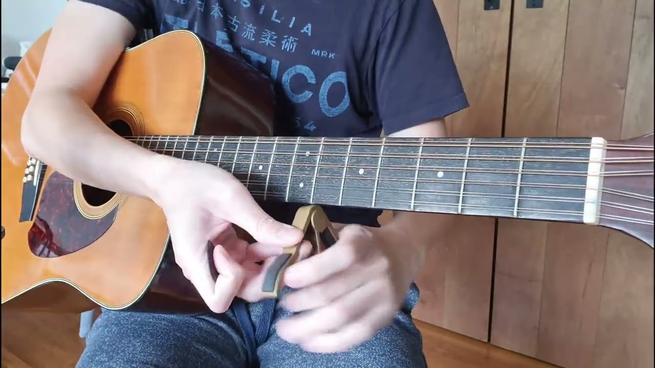 Ibanez V302 12 String with JLD bridge doctor