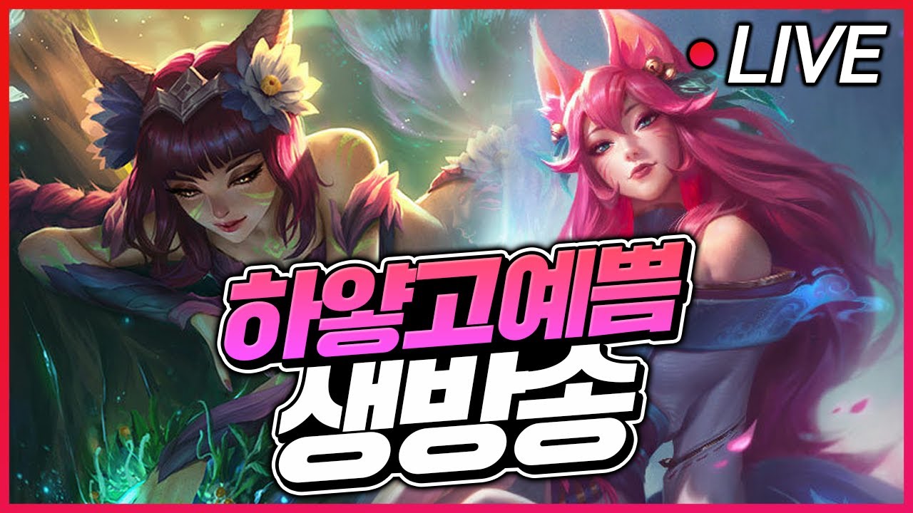 1티어 아리 양학쇼 갑니다 관피 강의 가능