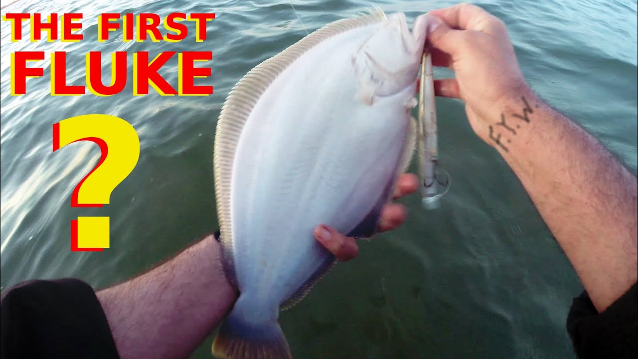 The VERY FIRST??? 2019 April 24 - FLUKE / SUMMER FLOUNDER - Early & INTERESTING Fishing!!!