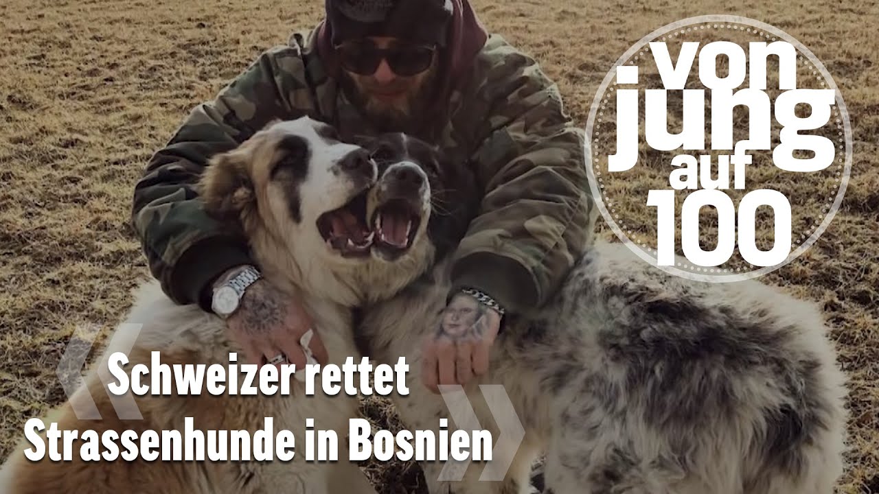 Schweizer Bodybuilder rettet Strassenhunde in Bosnien | Von jung auf 100