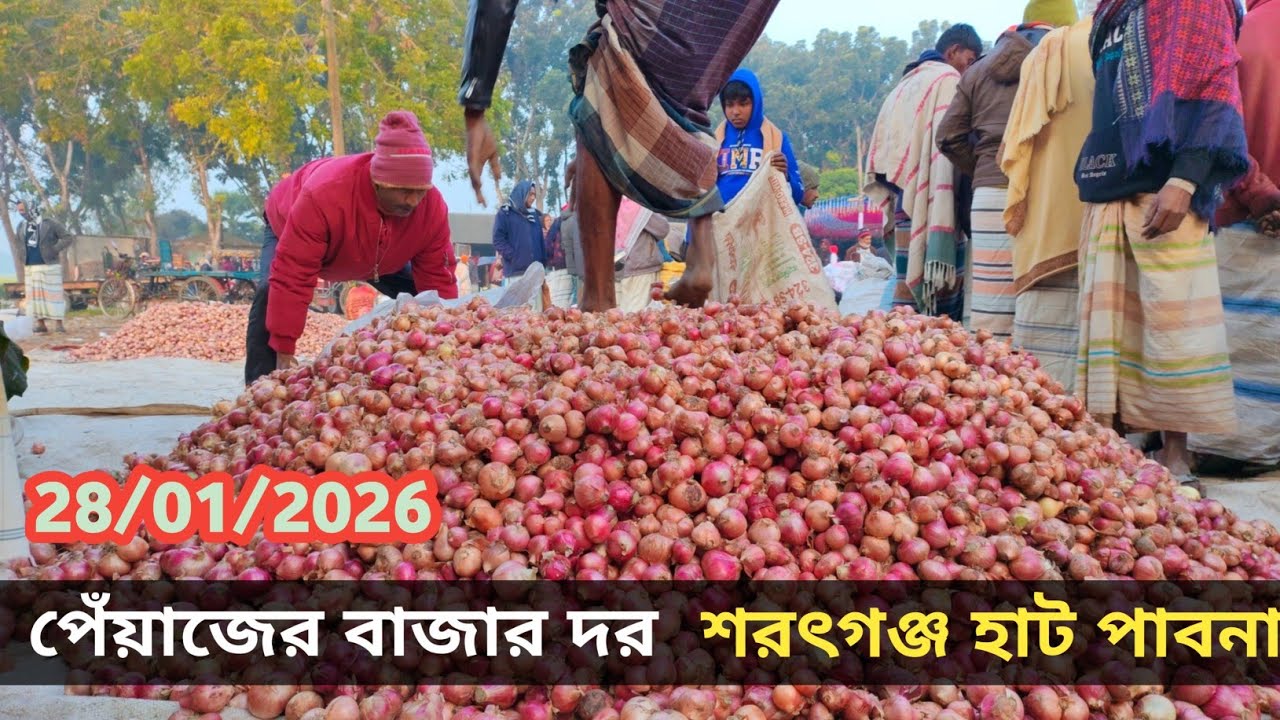 28 January 2026 আজকের পেঁয়াজের বাজার দর। শরৎগঞ্জ চাটমোহর পাবনা। Onion market price rate in pabna 