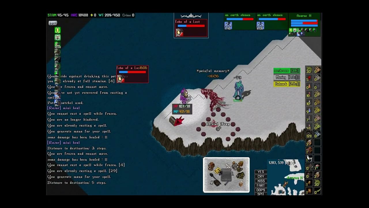 UO Outlands. trapper leve 8 T-mapping in test shard.울티마온라인 트래퍼 8레벨 티맵  테스트샤드