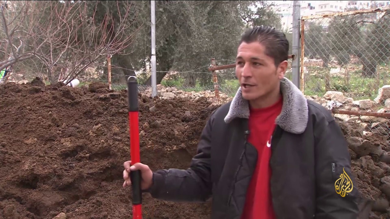هذا الصباح - ابتكار فلسطيني.. حطب رخيص وصديق للبيئة