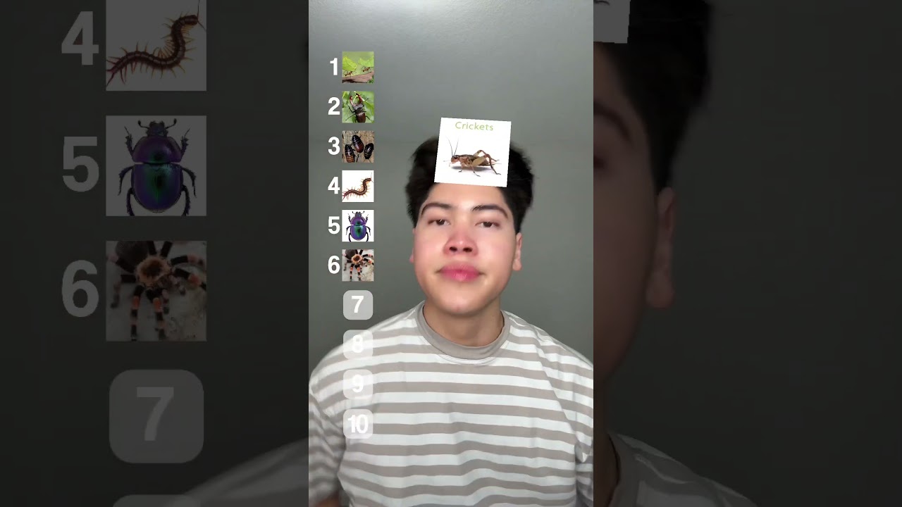 ranking bugs if they landed on me #shorts