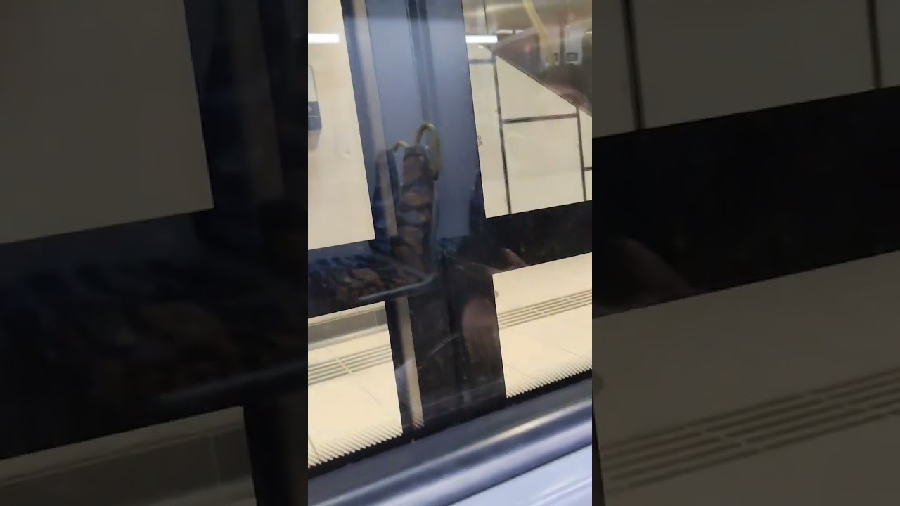 Train 