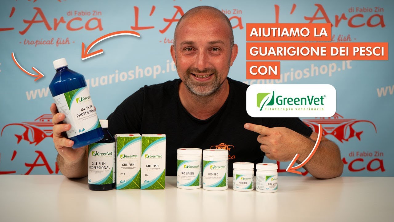 Alla scoperta di Greenvet: come migliorare il benessere dei pesci!
