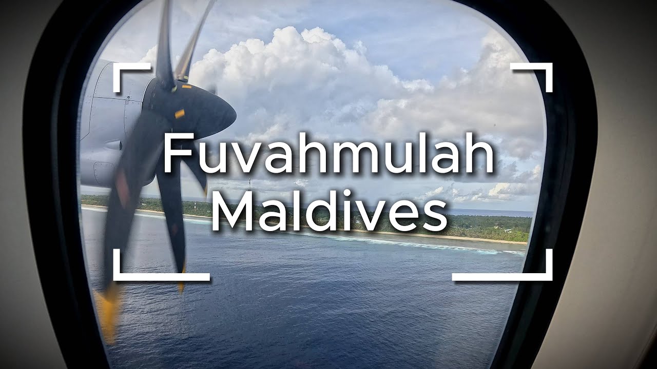 Fuvahmulah Maldives - Tiger Sharks - Tiger Shark Attack!