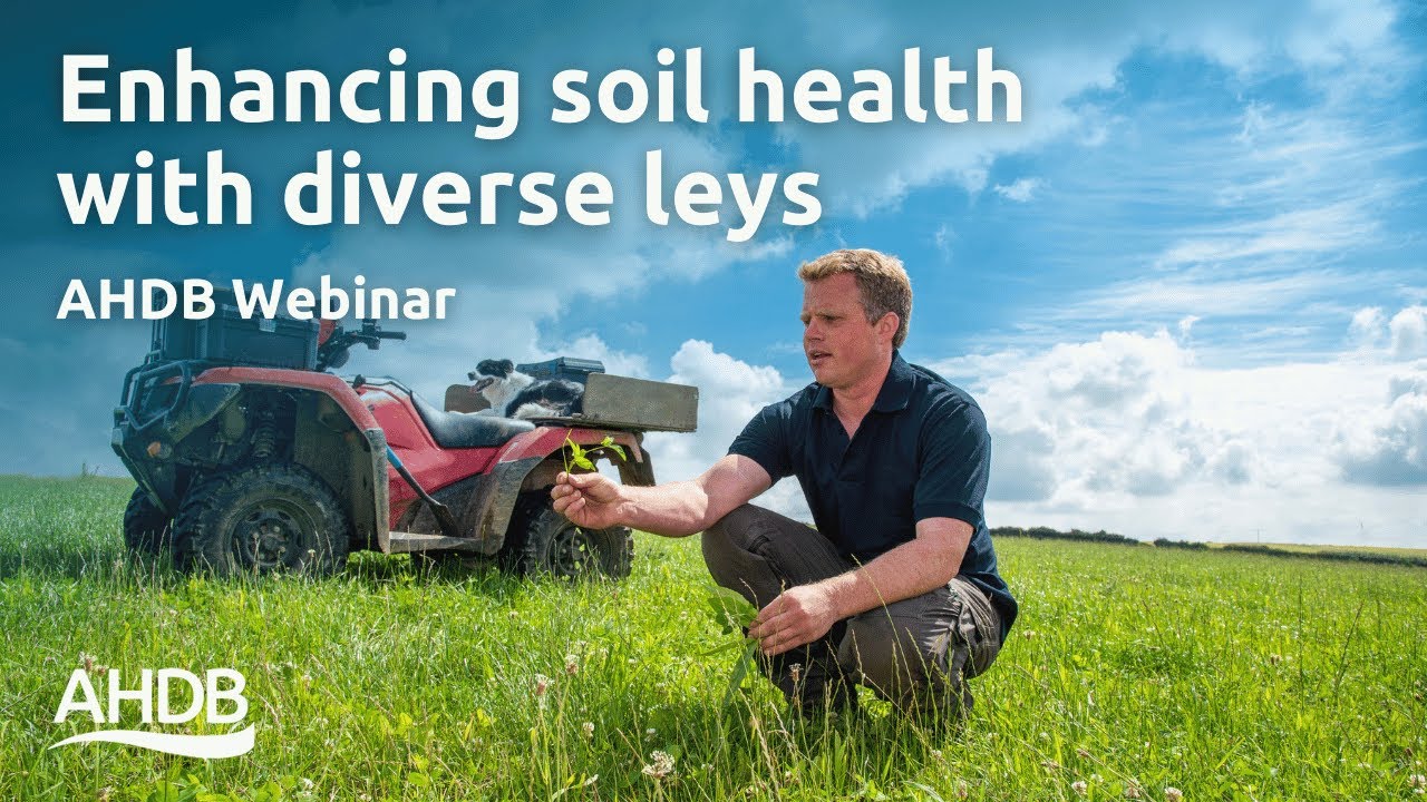 Enhancing Soil Health with Diverse Leys | AHDB Monitor Farm
