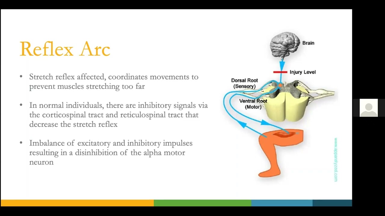 QLI Spasticity Management