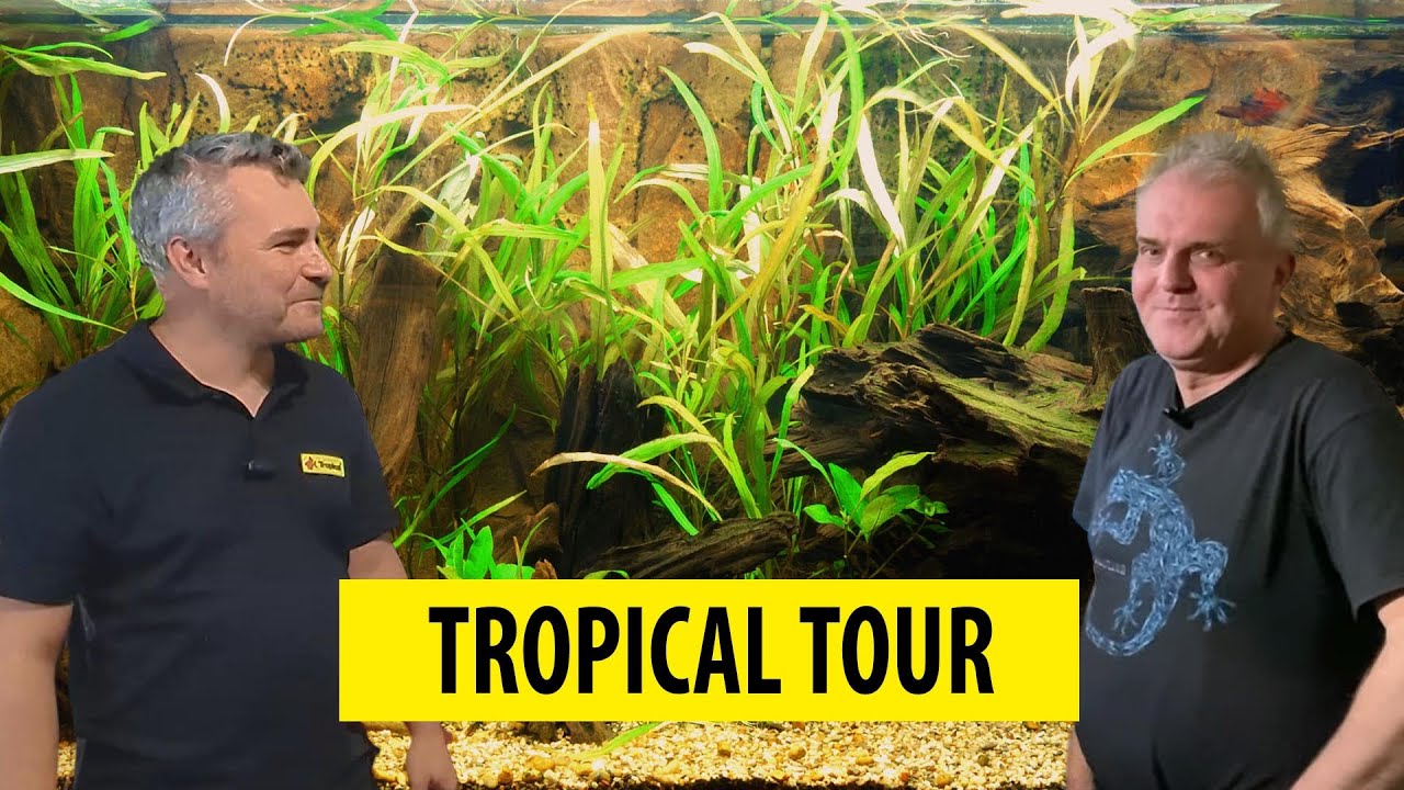 TROPICAL TOUR | Visiting aquarists/Z wizytą u akwarystów - Rafał Knop (ENG SUB)