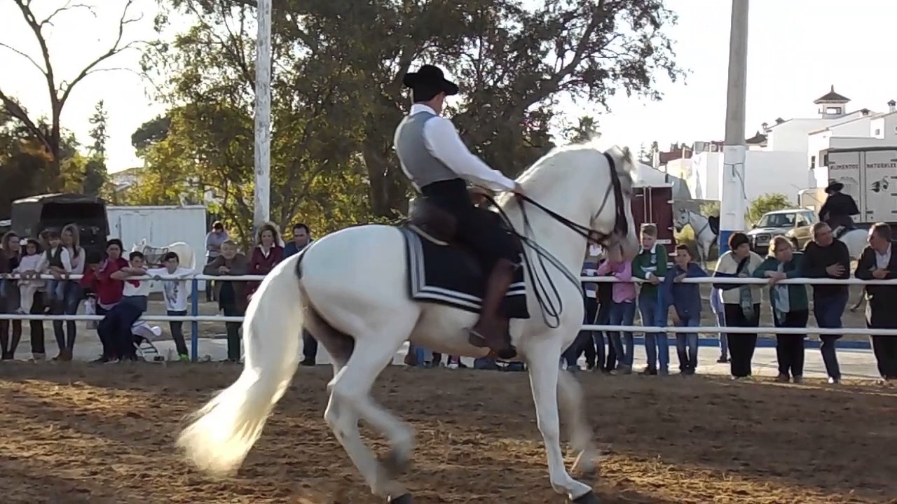 RAUL GARCIA ALTA ESCUELA
