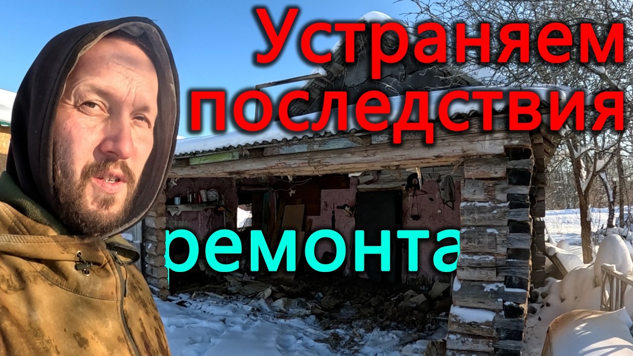 Убираем последствия ремонта. Физически готовлюсь к сорокалетию. Как дела у животных?