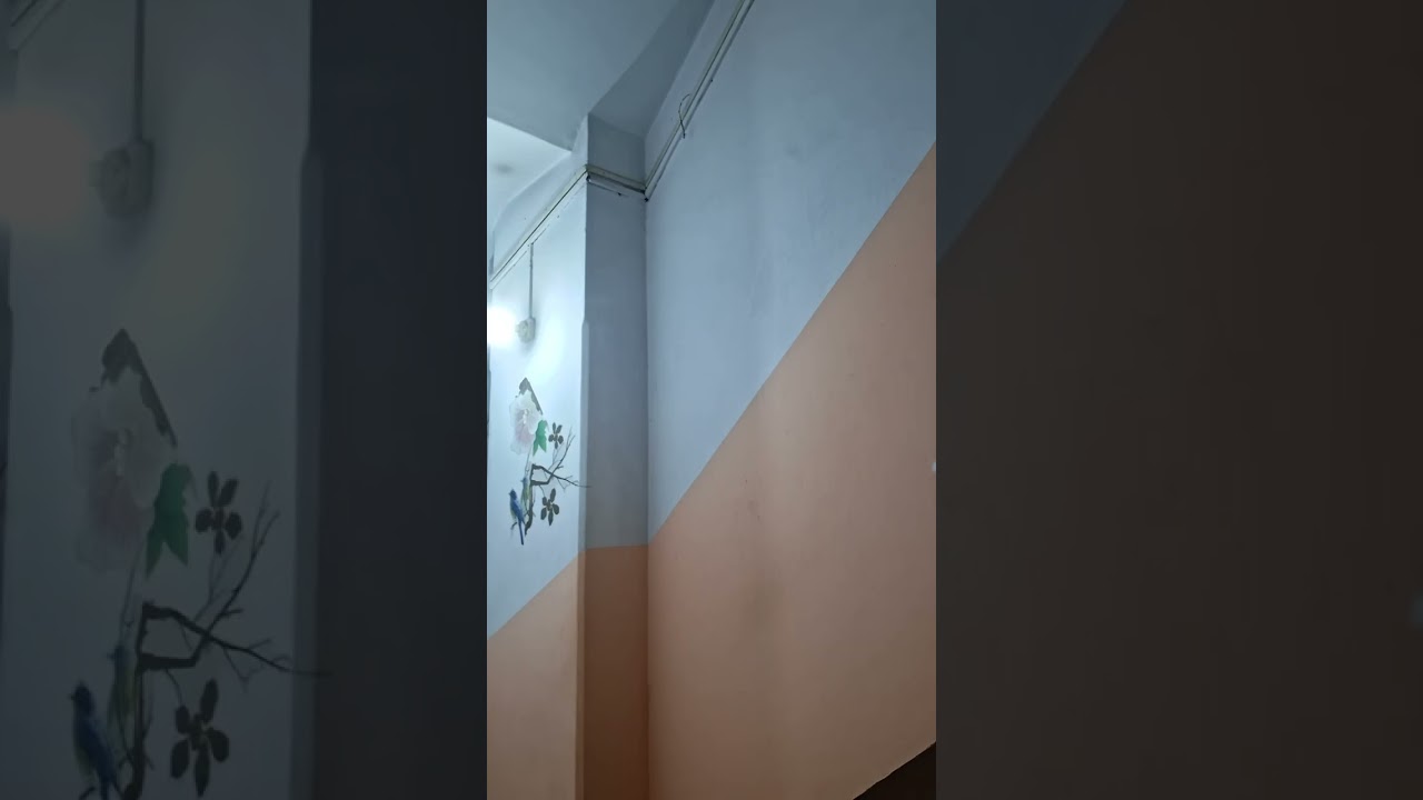 পথ দিয়ে কে যায় গো চলে