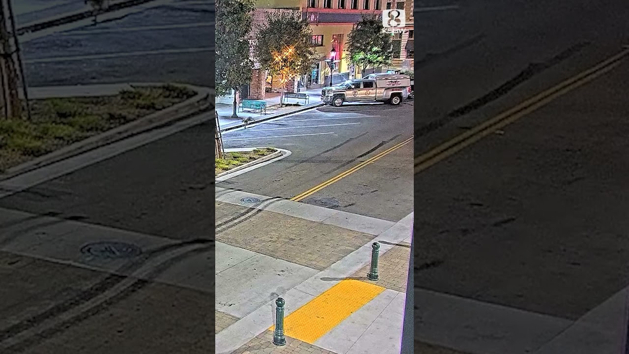 Mountain lion spotted in downtown Salinas