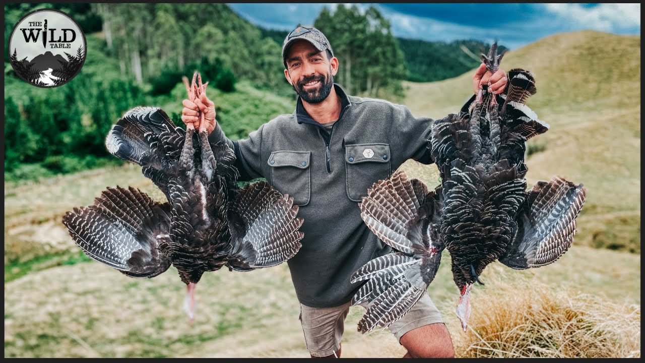 HUNTING WILD TURKEY FOR THE TABLE