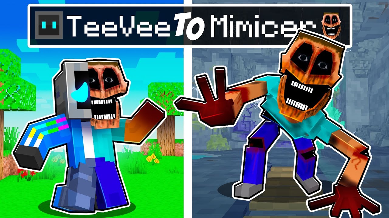 From TeeVee to MIMICER in Minecraft!