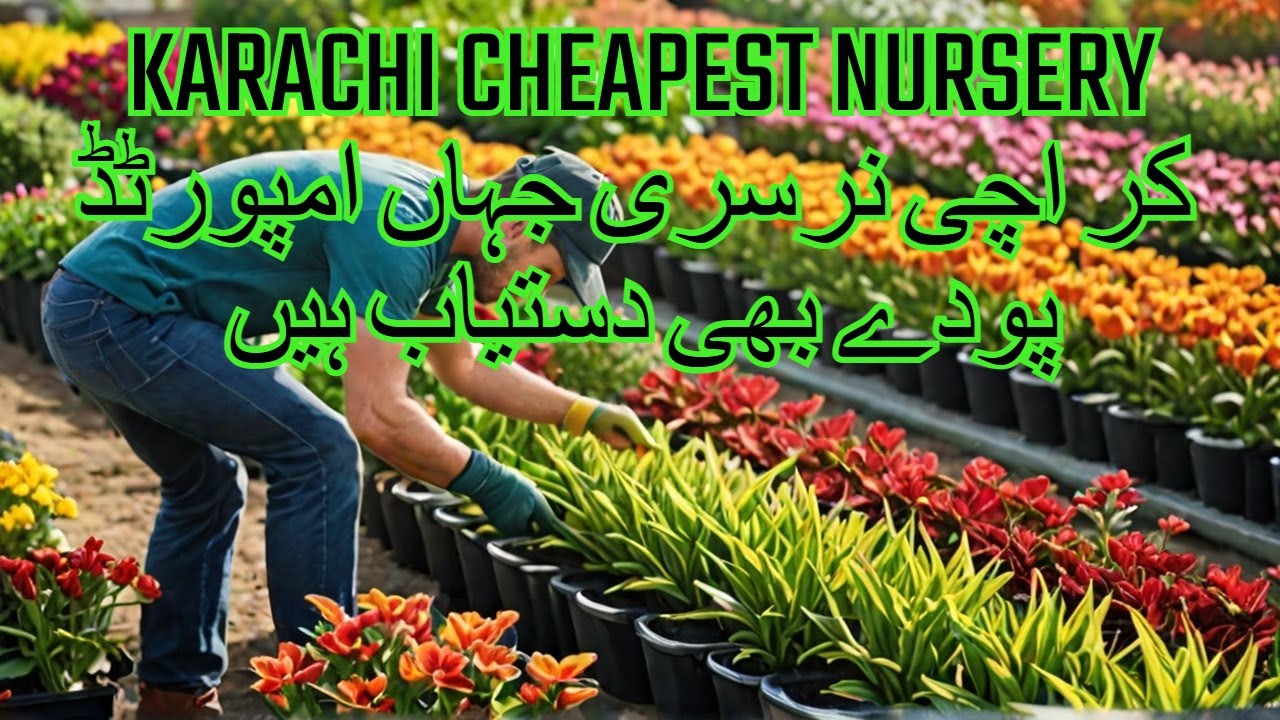 Cheapest Plant Nursery in Karachi