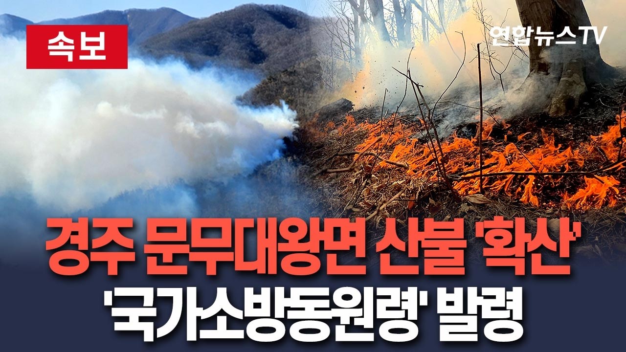 [🔴속보] 소방청, 경주 문무대왕면 산불 '국가소방동원령' 발령 / 연합뉴스TV(YonhapnewsTV)