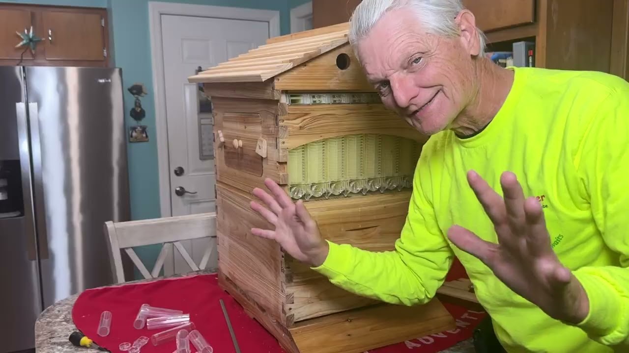 Bee Box вместе!
