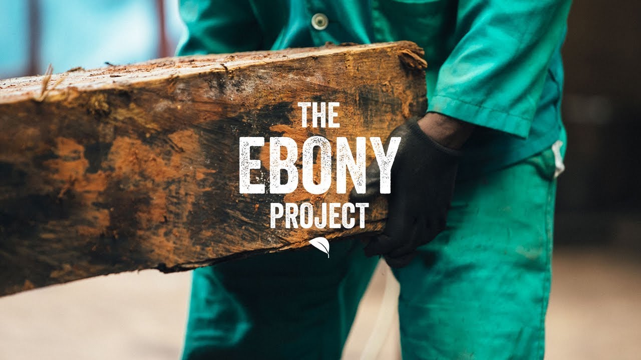 The Ebony Project | Preview Video | Taylor Guitars