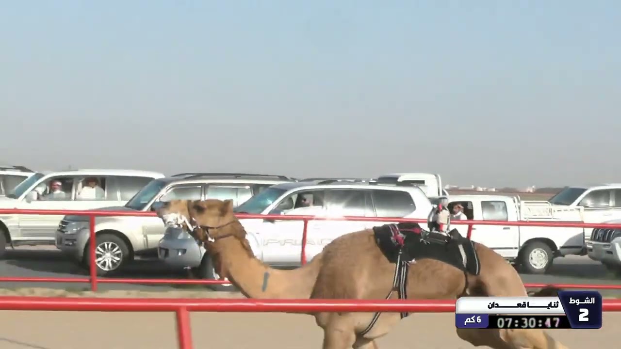 2 الشوط الثاني ثنايا قعدان السبت 28 02 2026