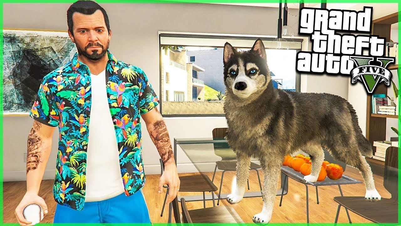 [GTA] - Re&aacute;ln&yacute; Život #26 KUPUJEME PSA! (GTA 5 Real Life Mod - Česky)