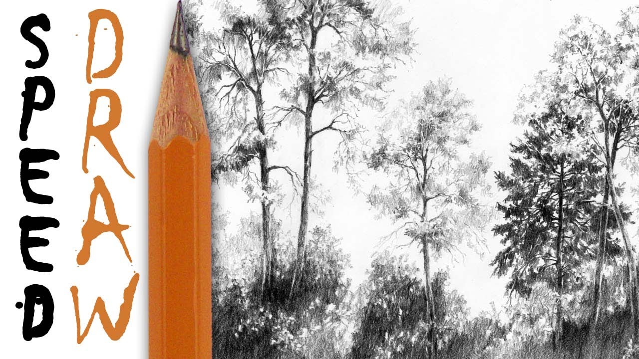 How to draw trees | Jak rysować drzewa - Speed Drawing Tutorial 3