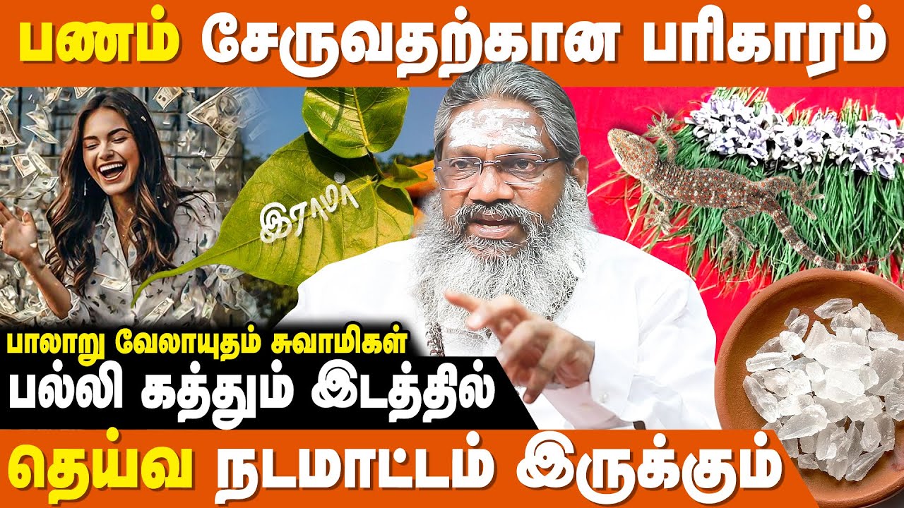அதிசயம் நிகழ்த்தும் அருகம்புல்-தர்ப்பை பரிகாரம் | Palaru Velayutham Swamigal | Lakshmi Kadatcham