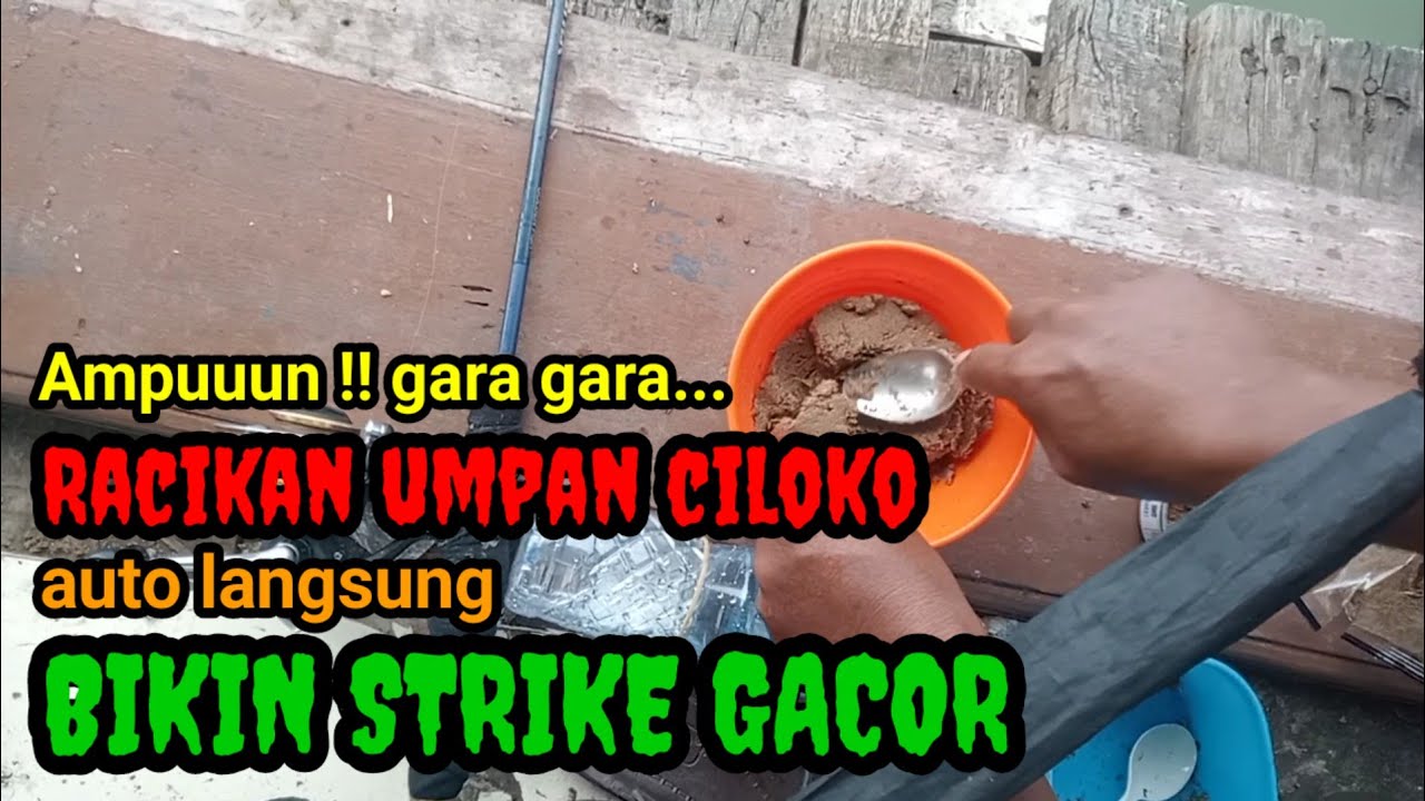 Mumpung gacor sikat habis Mak‼️@Jaddah mancing#umpanjitu#mancingharian#strike#mancingliar