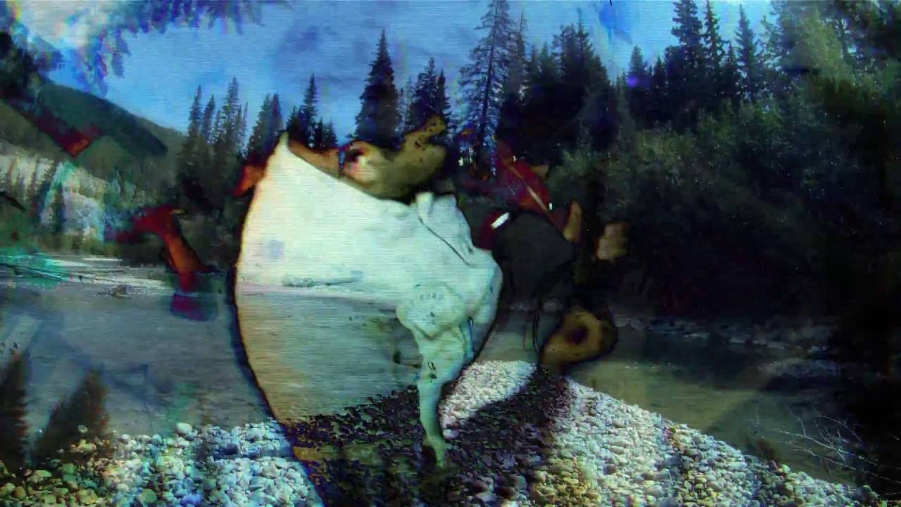 Your Career Is Over - Anchoress (Music Video)