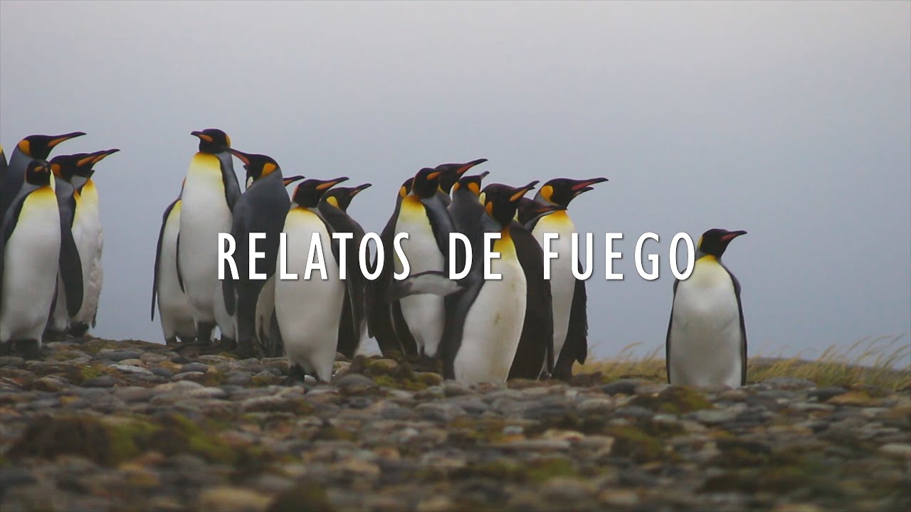 RELATOS DE FUEGO (Microdocumental)