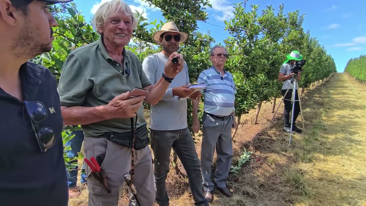 Como Plantar Maçã em São Paulo: Segredos do Sucesso e Produtividade [Guia Prático]