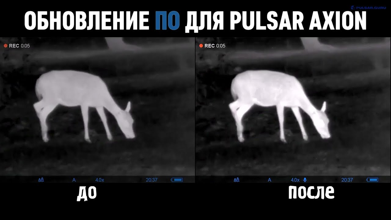 Pulsar AXION - обновление для тепловизоров: улучшено изображение, добавлена запись звука.