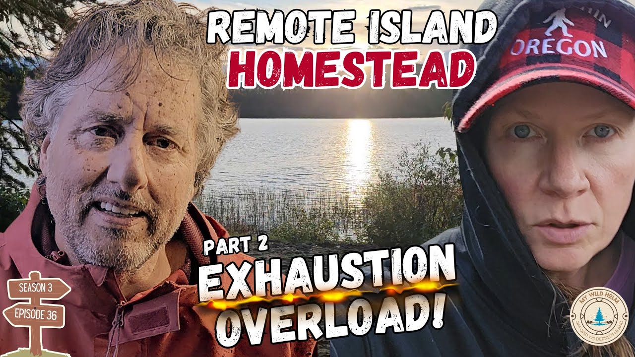 Remote Island Homestead: Season Finale — Too Tired to Quit (Part 2) My Wild Holm S3 Ep36