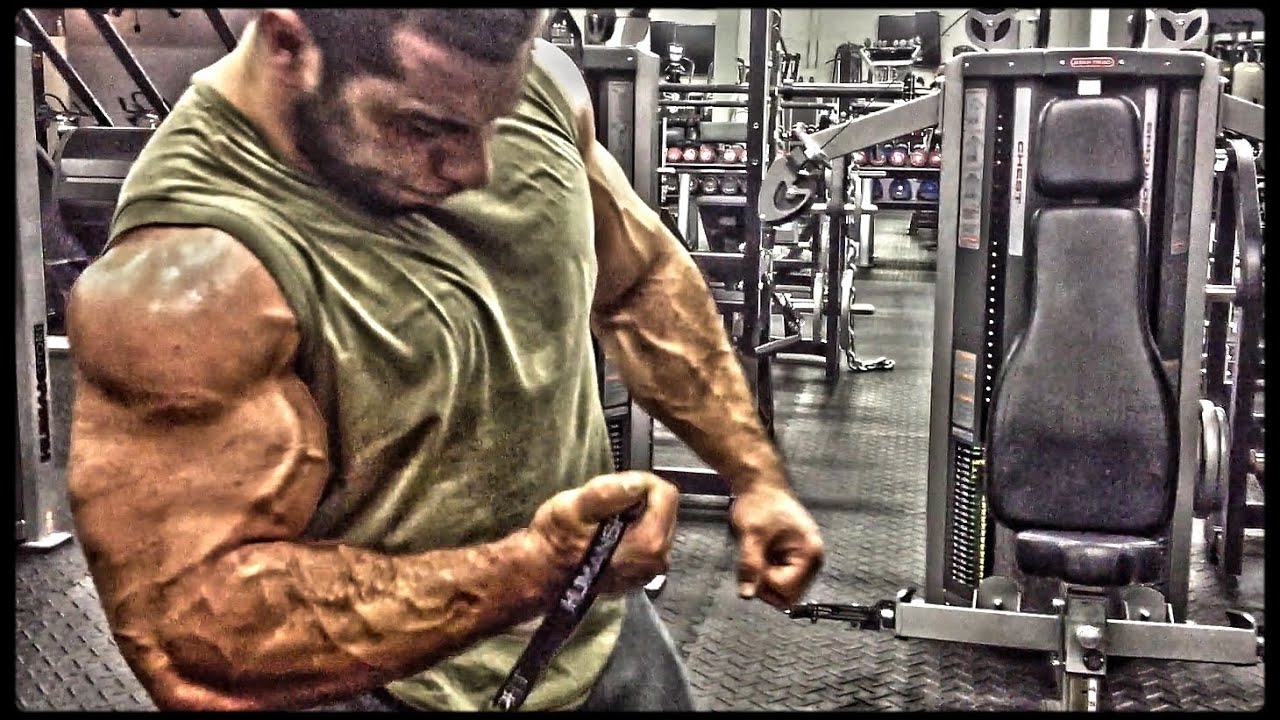 BADASS ARMS WORKOUT #2 - Lorenzo Bezerker