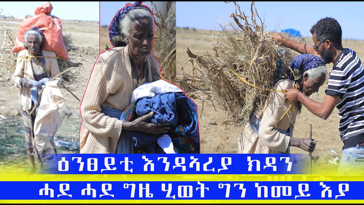 ዕንፀይቲ እንዳኣረያ  ዘመነን ልክዕ ከርተት ሒወት ግን ዕፃ ድዩ ፅሑፍቶ