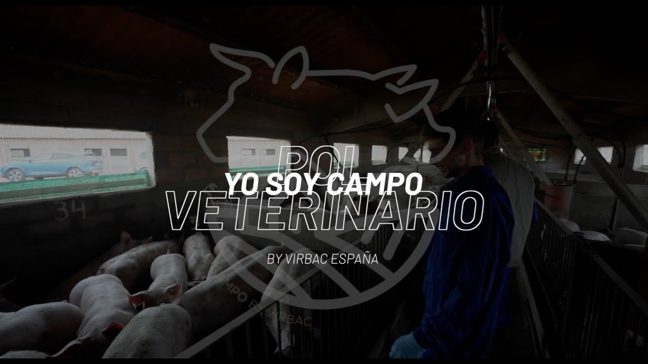 Pol Arderiu, un día con un veterinario de porcino en Lleida, Huesca y Zaragoza #YoSoyCampo
