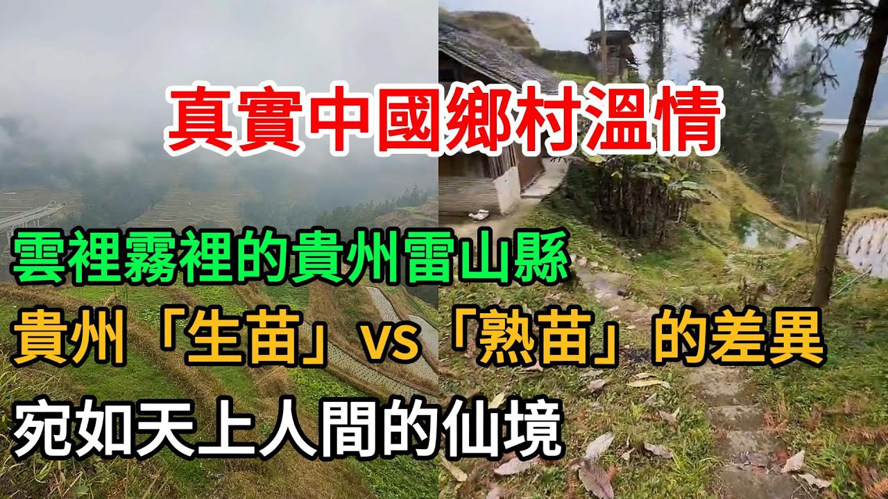 最窮遊的旅行方式：車上沒鍋碗瓢盆怎麼辦？ 2026-01-27 10:00:41